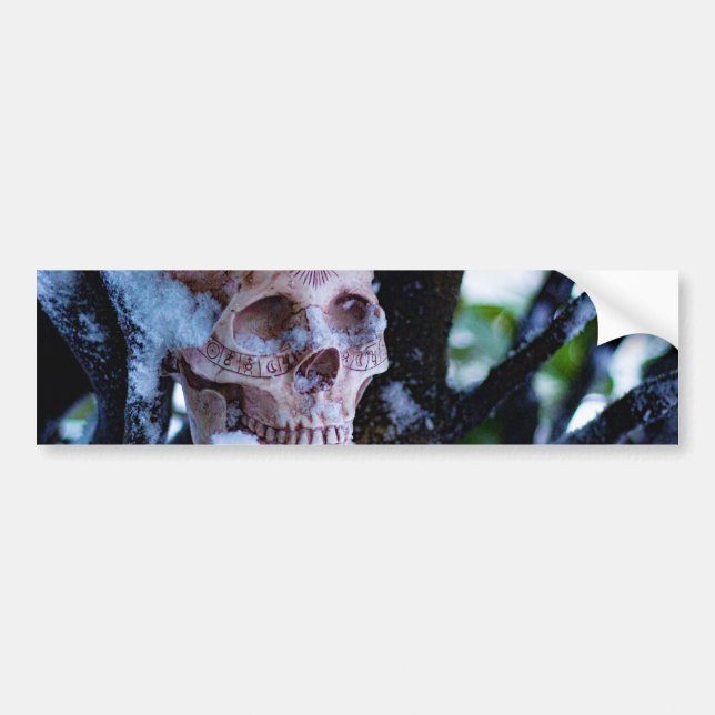 Arkane Winter I Autoaufkleber (Vorne)