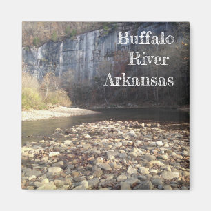 Arkansas Buffalo Magnet