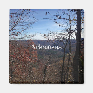 Arkansas Magnet