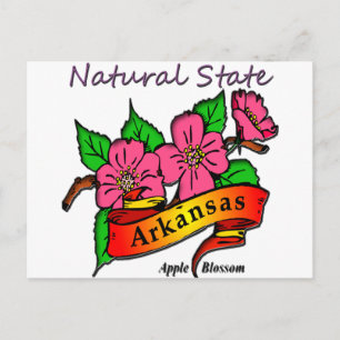 Arkansas Natural Staat Apple Blossom Postkarte