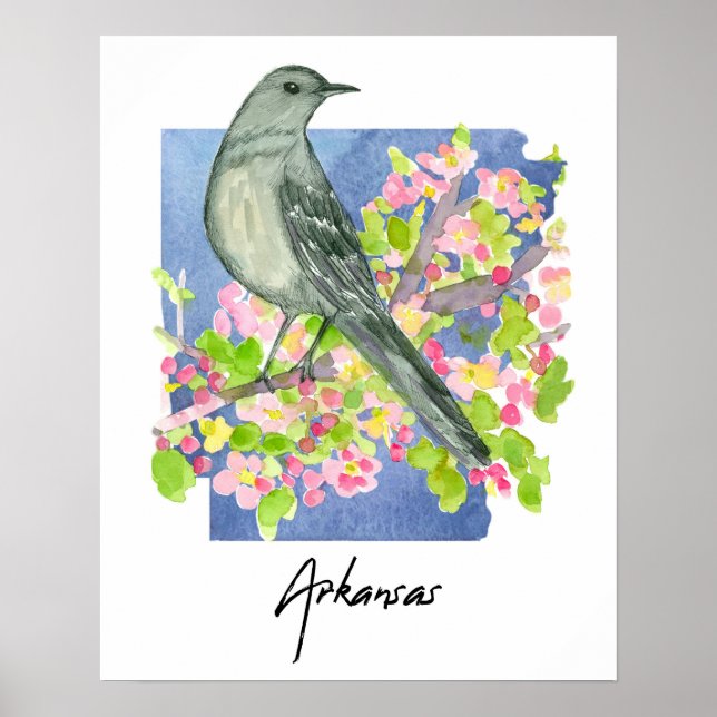 Arkansas Natural State Mockingbird Apple Blossoms Poster (Vorne)