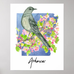Arkansas Natürliches Staat-Spottvogel Apfelblüten Poster