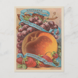 Arkansas Vintage Pfirsich Erdbeeren Trauben Postkarte