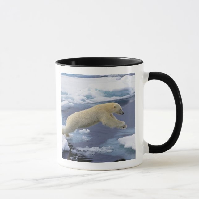 Arktis, Svalbard, Eisbär reckend Tasse (Rechts)