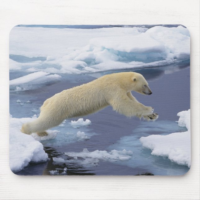 Arktis, Svalbard, Polar Bär, der sich ausdehnt Mousepad (Vorne)