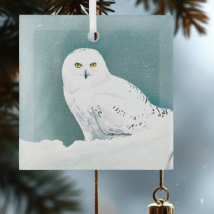 Arktische Aquamarine Schneeauwl Ornament Aus Glas