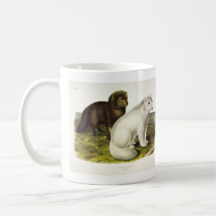 Arktische Focken (Weißfuchs, Polarfox, Schneefräse Kaffeetasse