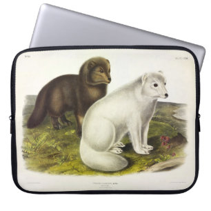 Arktische Focken (Weißfuchs, Polarfox, Schneefräse Laptopschutzhülle