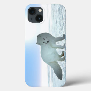 Arktische Fox Case-Mate iPhone Hülle