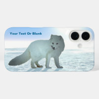Arktische Fox
