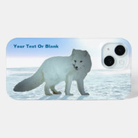 Arktische Fox