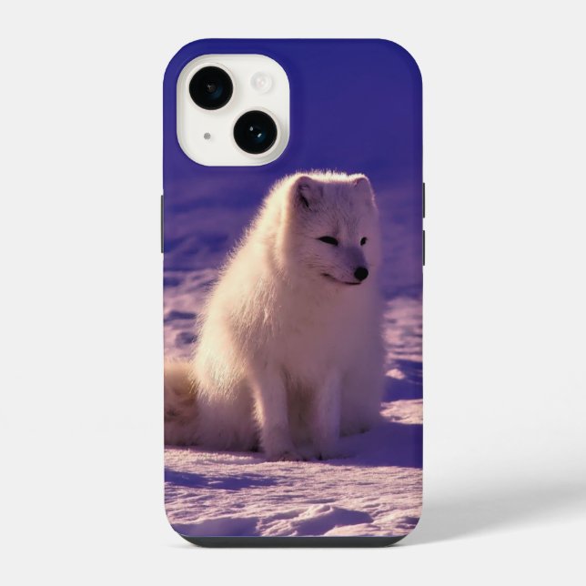 Arktische Fox iPhone Hülle (Rückseite)