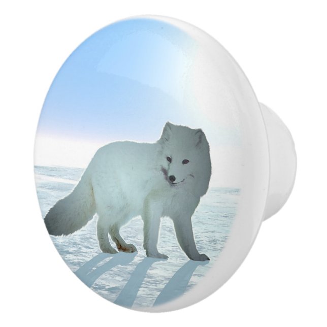 Arktische Fox Keramikknauf (Rechts)