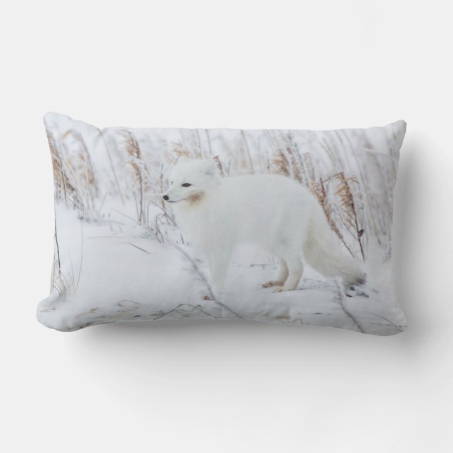 Arktische Fox Lendenkissen (Vorderseite)