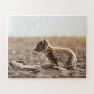Arktische Fox Puzzle