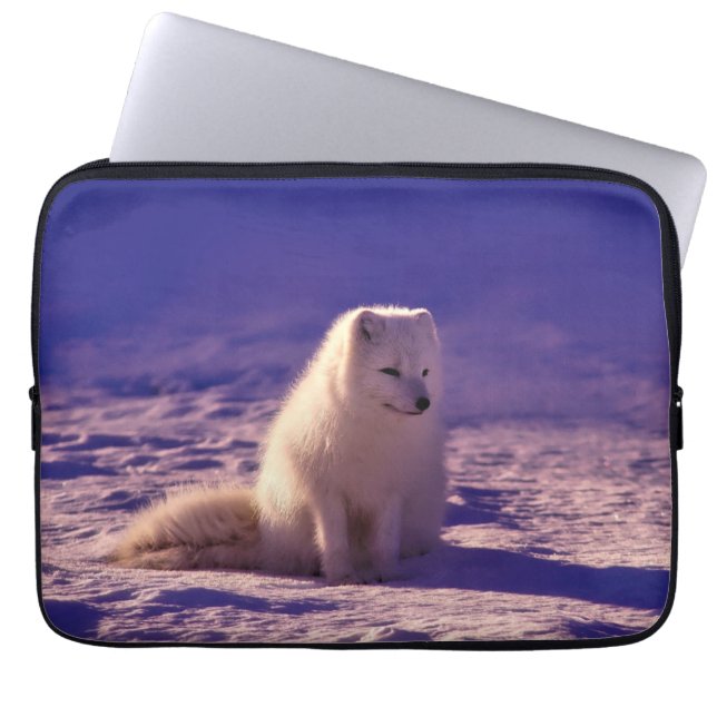 Arktische Fox Winterschneelandschaft Laptopschutzhülle (Vorderseite)