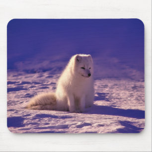 Arktische Fox Winterschneelandschaft Mousepad
