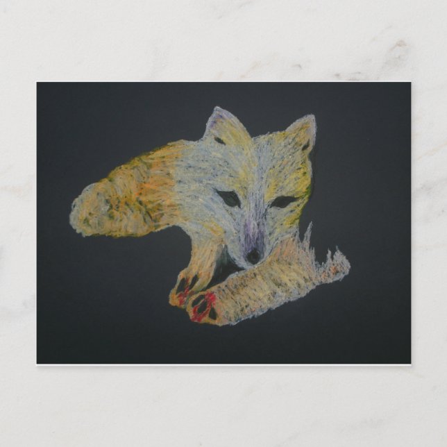 Arktische Fuchs Postkarte (Vorderseite)