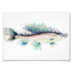 Arktische Grayling Aquarelle Angeln Fotodruck