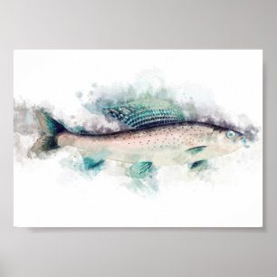 Arktische Grayling Aquarelle Angeln Poster