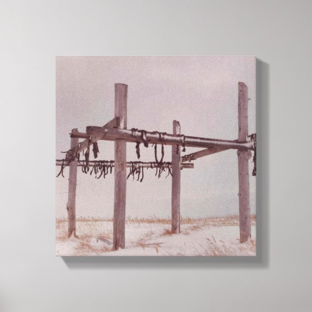 Arktische Karibik Fleisch Trocknen Rack Pt. Lay Do Leinwanddruck (Vorderseite)