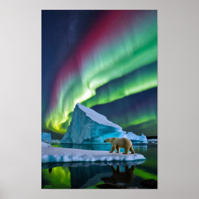 Arktische Natur Aurora Iceberg Außenbereich Landsc Poster (Vorne)