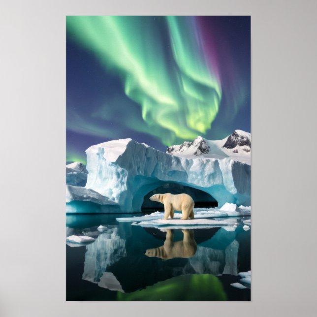 Arktische Natur Aurora Iceberg Außenbereich Landsc Poster (Vorne)