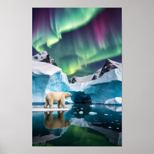 Arktische Natur Aurora Iceberg Außenbereich Landsc Poster