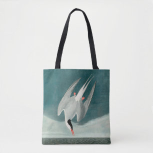Arktische Seeschwalbe Audubon Vogel Wildlife-Maler