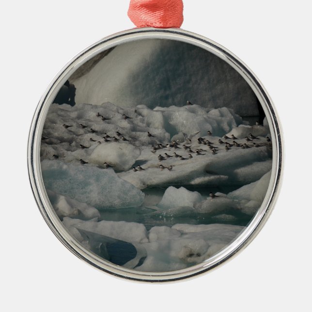 Arktische Seeschwalben Jokulsarlon Island Ornament Aus Metall (Vorne)