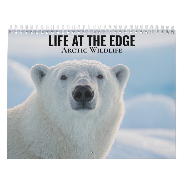 Arktische Tierwelt 2027 Kalender (Titelbild)