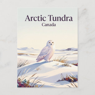 Arktische Tundra Kanada Postkarte
