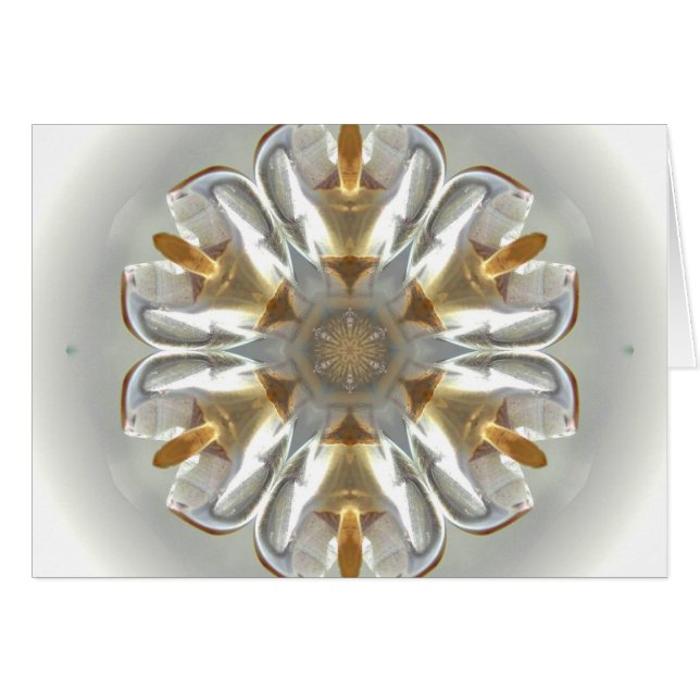 Arktischer Engel (Vorderseite (Horizontal))