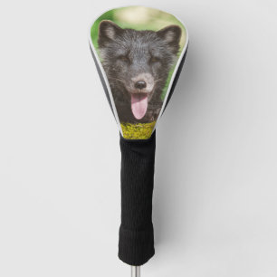 Arktischer Fox Golf Headcover