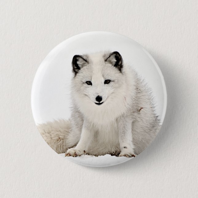 Arktischer Fox im Schnee Button (Vorderseite)