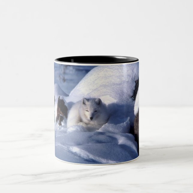 Arktischer Fox im Schnee Zweifarbige Tasse (Mittel)