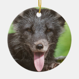 Arktischer Fox Keramik Ornament