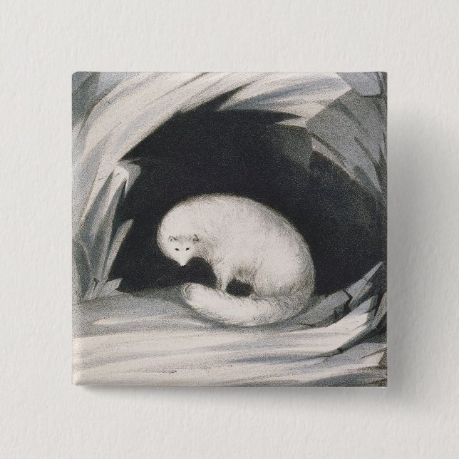 Arktischer Fox, 'von der Erzählung einer zweiten Button (Vorderseite)