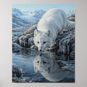 Arktischer Fuchs trinkt Wasser aus einem Gletscher Poster
