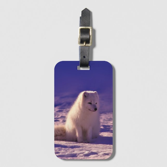Arktischer Fuchs Winter Schneelandschaft Gepäckanhänger (Vorderseite Vertikal)