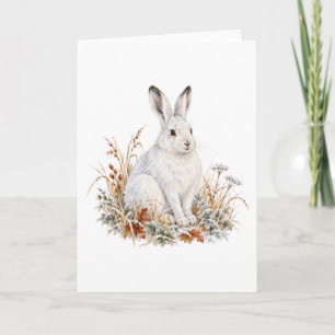 Arktischer Hase sitzt im Wintergras Karte