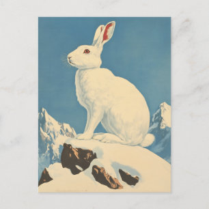 Arktischer Hase Vintage Postkarte