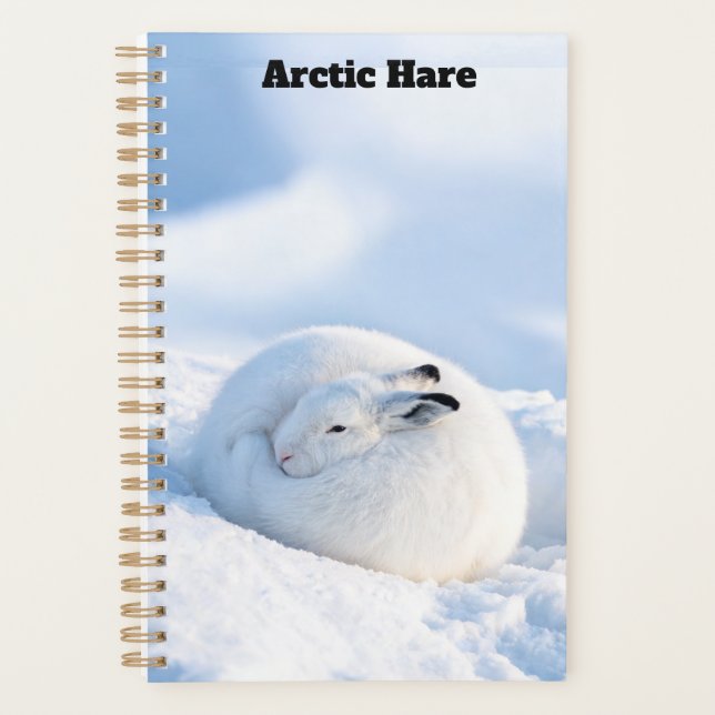 Arktischer Hasenplaner Planer (Vorderseite)
