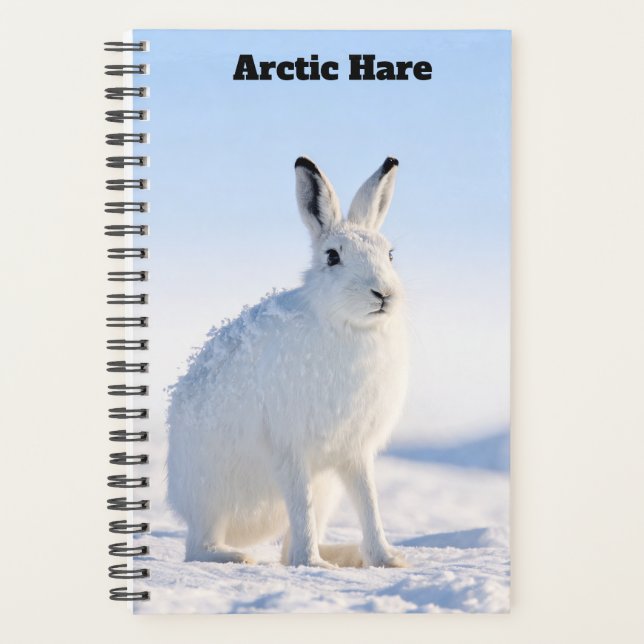 Arktischer Hasenplaner Planer (Vorderseite)