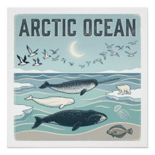 Arktischer Ozean Poster