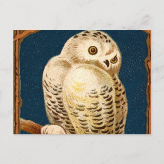 Arktischer Schneevogel - Erster Wintertag Postkarte (Vorderseite)