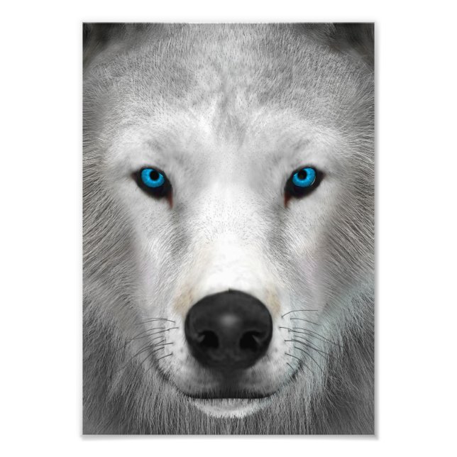 Arktischer Wolf Fotodruck (Vorne)