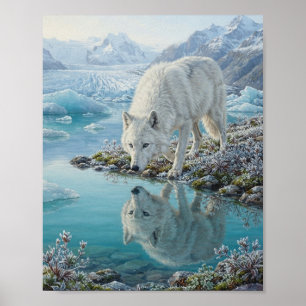 Arktischer Wolf Glaziallagune Gletscherwasser Refl Poster