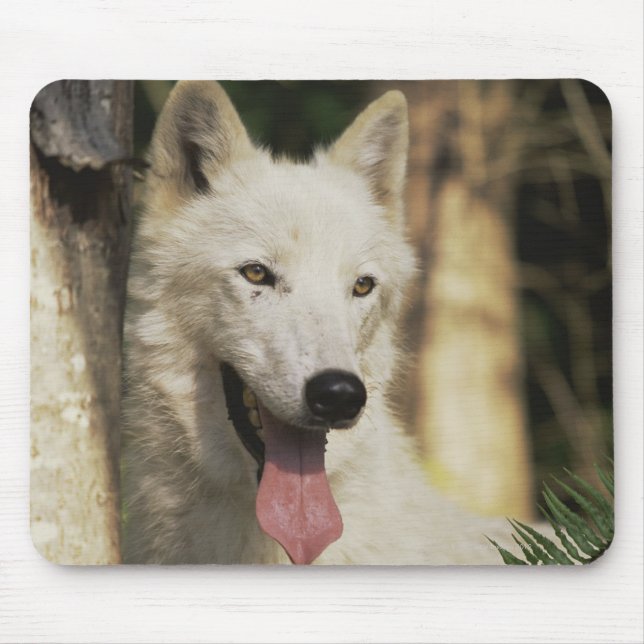 Arktischer Wolf im Wald Mousepad (Vorne)