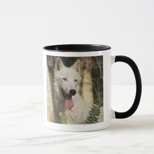 Arktischer Wolf im Wald Tasse (Rechts)